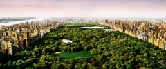 Dreams of Central Park