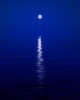 MOONBEAM