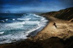 Wild Spirit